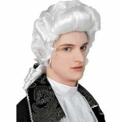 Boland Baroque Man Wig Elizabethan 17th 18th Century Victorian Fancy Dress