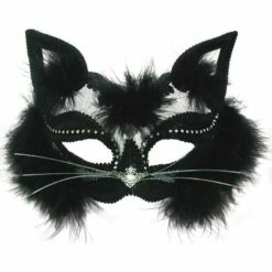 Black Transparent Cat Mask On Headband Maquerade Ball Fancy Dress Accessory